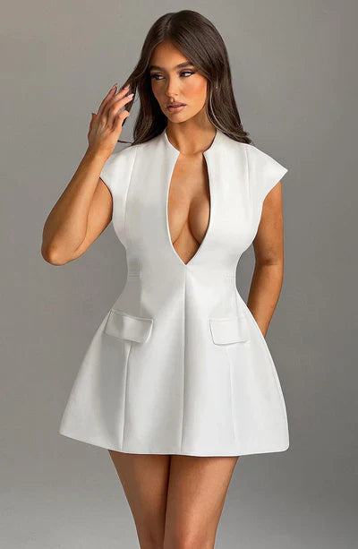 Ladies_Mini_Dress_Fashion